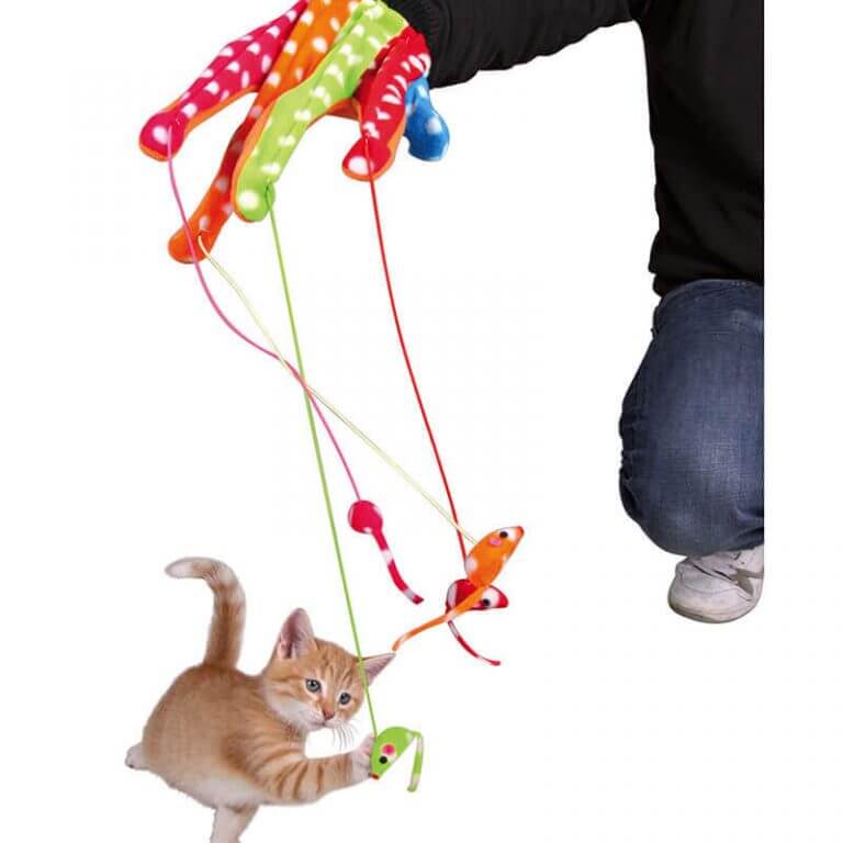 Cat Toys and Cat Scratchers