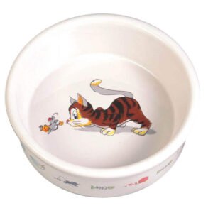 Cat Bowls & Accessories