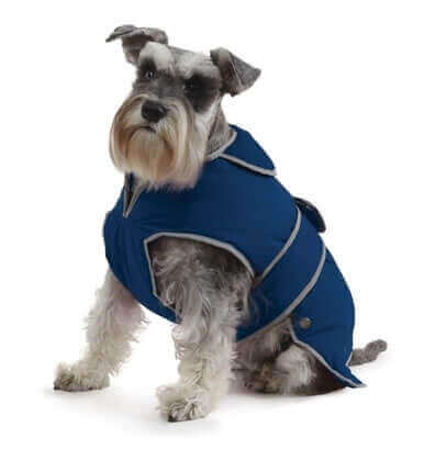 Dog Coats & Dog Costumes