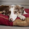 Scruffs Red Highland Dog Mattress Bed Ireland