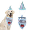 Dog Birthday Hat with Bone Bandana Set Blue