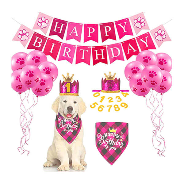 Dog Birthday Banner Kit Pink Tartan