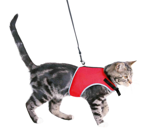Trixie Soft Mesh Cat Harness with Lead