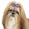 Aria Portia Dog Hair Bow