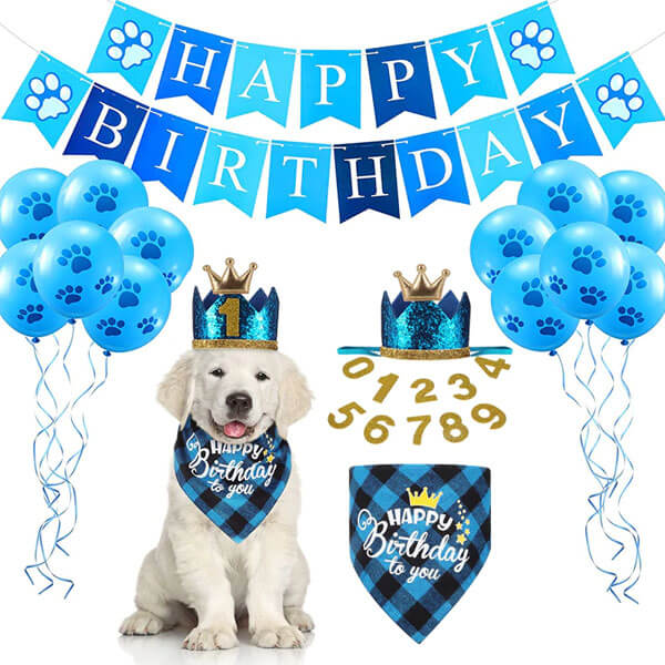 Dog Birthday Banner Kit Blue Tartan