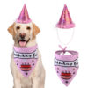 Dog Birthday Hat with Bone Bandana Set Pink