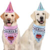 Dog Birthday Hat with Bone Bandana Set