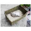 Hamster Sand Bath