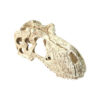 Komodo T Rex Skull