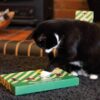 Rosewood Christmas Cat Selection Box Treats